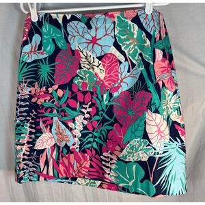 Talbots Cotton Blue Pink Green Skirt‎ Size 8